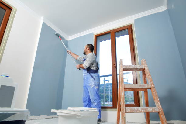 Biohazard Mold Removal in Quanah, TX