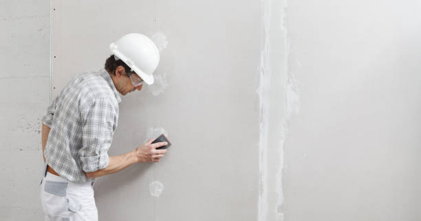 Best Mold Removal for HVAC Installations  in Quanah, TX