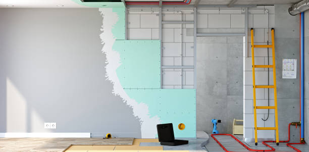 Best Real Estate Mold Inspection  in Quanah, TX