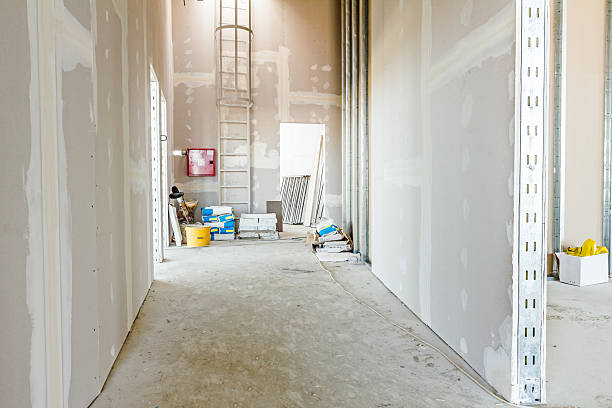Best Mold Damage Restoration  in Quanah, TX